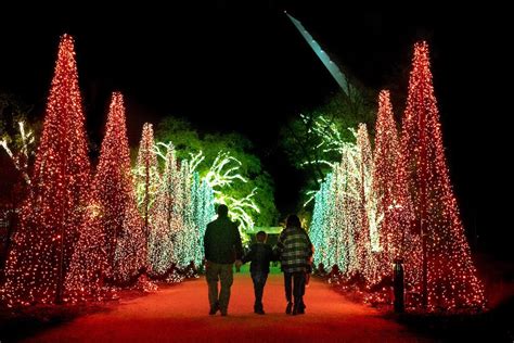 redding garden of lights photos